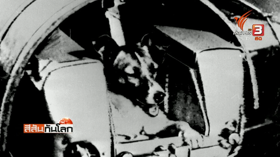 รำลึก 60 ปี ส่งสุนัข "ไลก้า" ขึ้นสู่อวกาศ