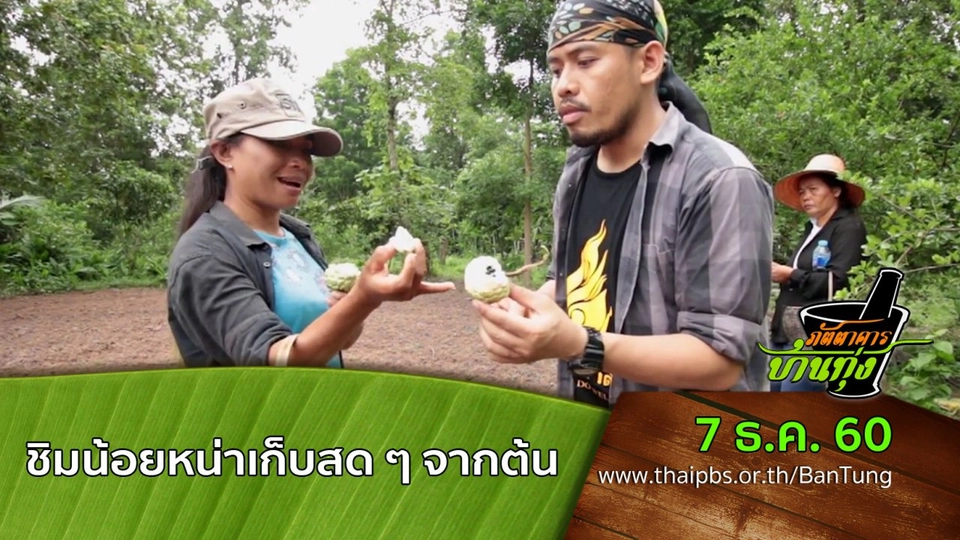 ชิมน้อยหน่าเก็บสด ๆ จากต้น