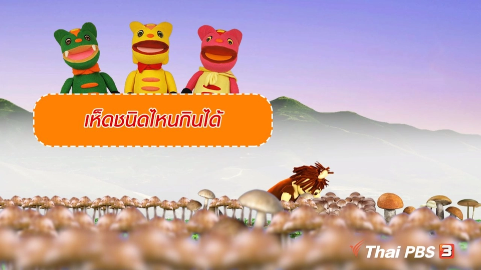 เกร็ดน่ารู้กับตาต้าตีตี้โตโต้ : เห็ดชนิดไหนกินได้