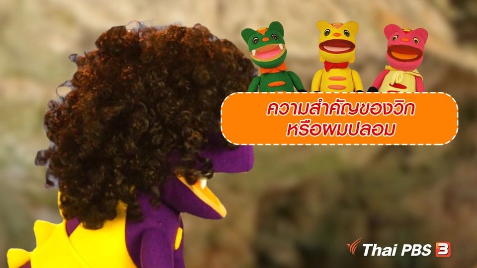 เกร็ดน่ารู้กับตาต้าตีตี้โตโต้ : ความสำคัญของวิกหรือผมปลอม