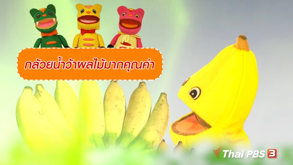 เกร็ดน่ารู้กับตาต้าตีตี้โตโต้ : กล้วยน้ำว้าผลไม้มากคุณค่า