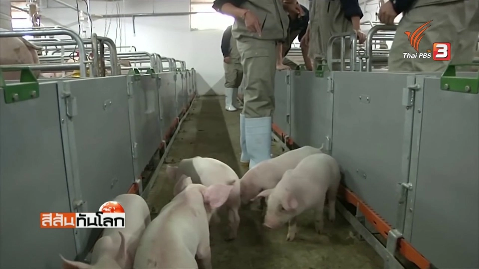 โรงแรมหมู