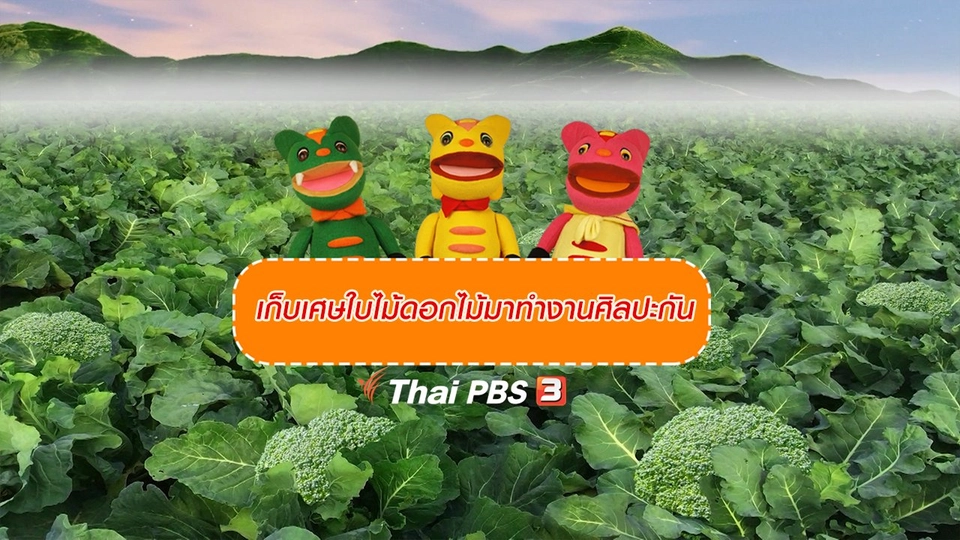 เกร็ดน่ารู้กับตาต้าตีตี้โตโต้ : ตุ๊กตาตัวเล็ก ๆ