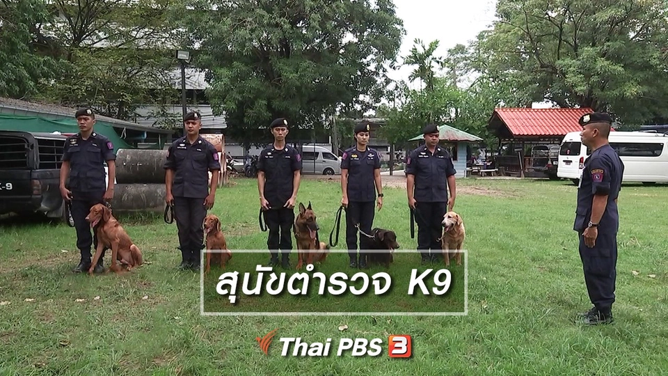 สุนัขตำรวจ K9