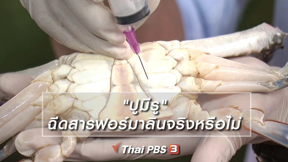 "ปูมีรู" ฉีดสารฟอร์มาลินจริงหรือไม่