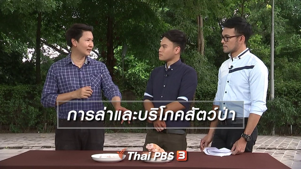 การล่าและบริโภคสัตว์ป่า