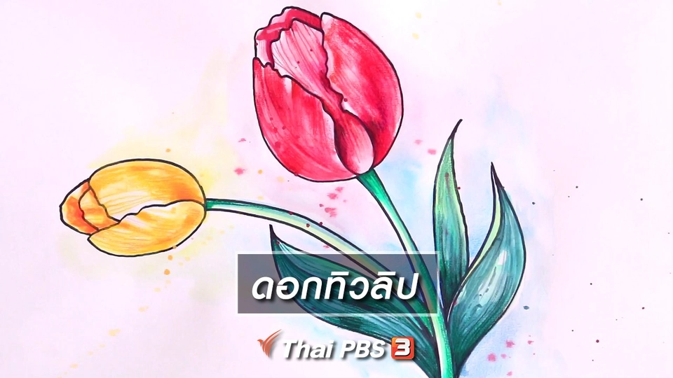 ​สอนศิลป์สอนวาด : ดอกทิวลิป