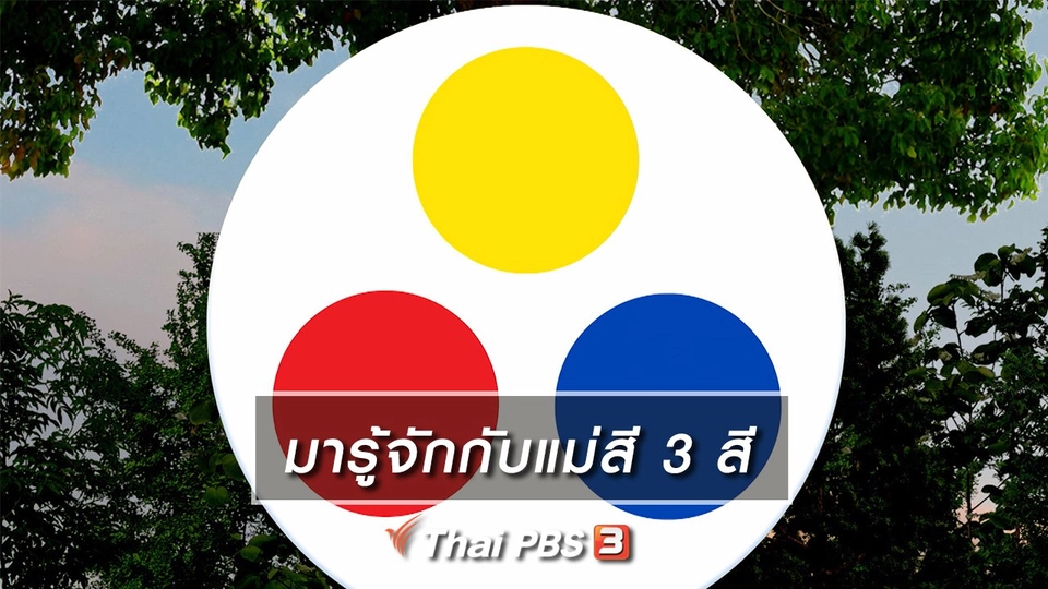 เกร็ดน่ารู้กับตาต้าตีตี้โตโต้ : มารู้จักกับแม่สี 3 สี