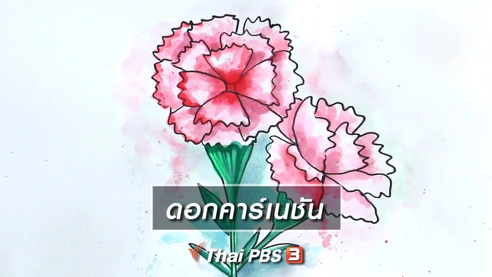 สอนศิลป์สอนวาด : ดอกคาร์เนชัน