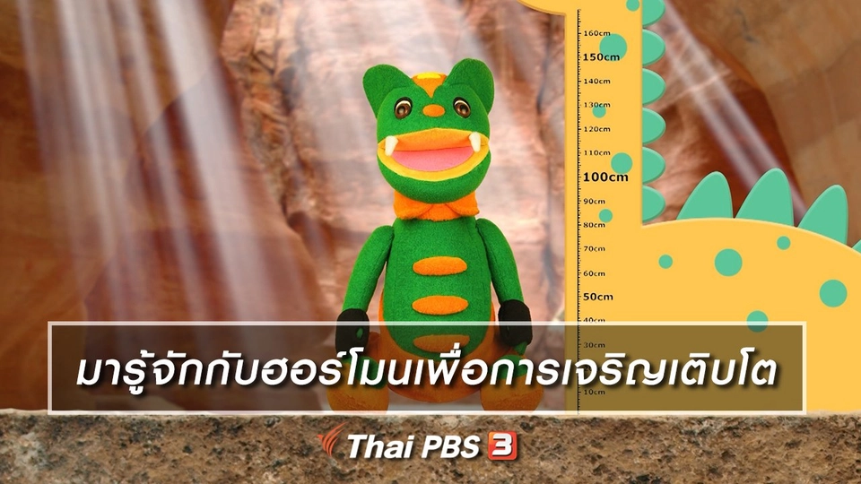 เกร็ดน่ารู้กับตาต้าตีตี้โตโต้ : มารู้จักกับฮอร์โมนเพื่อการเจริญเติบโต