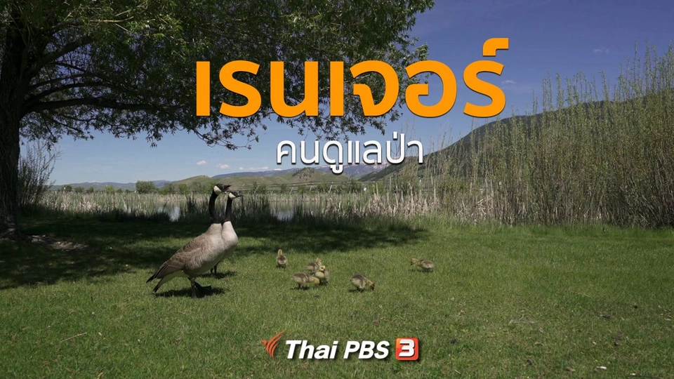 เรื่องเล่าการเดินทาง : เรนเจอร์ คนดูแลป่า