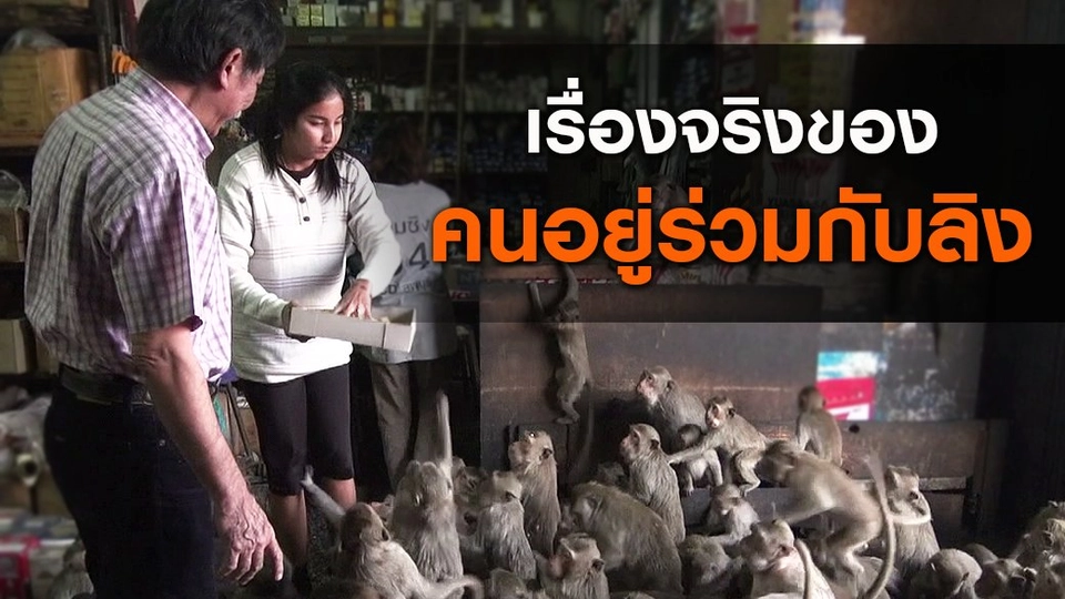 เรื่องจริงของคนอยู่ร่วมกับลิง