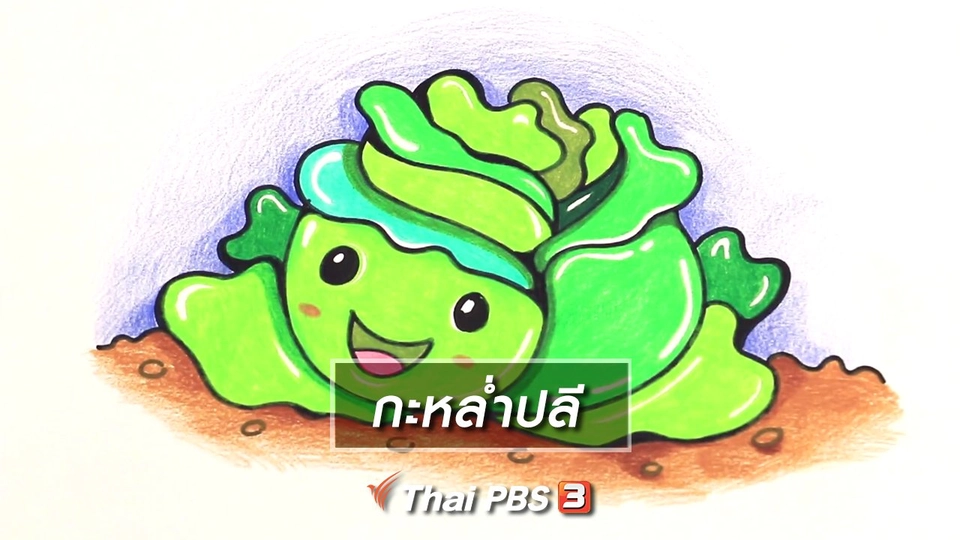 สอนศิลป์สอนวาด : กะหล่ำปลี