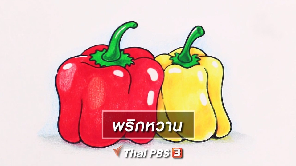สอนศิลป์สอนวาด : ​พริกหวาน