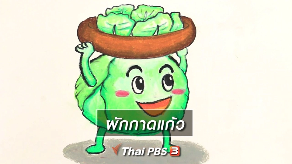 สอนศิลป์สอนวาด : ผักกาดแก้ว