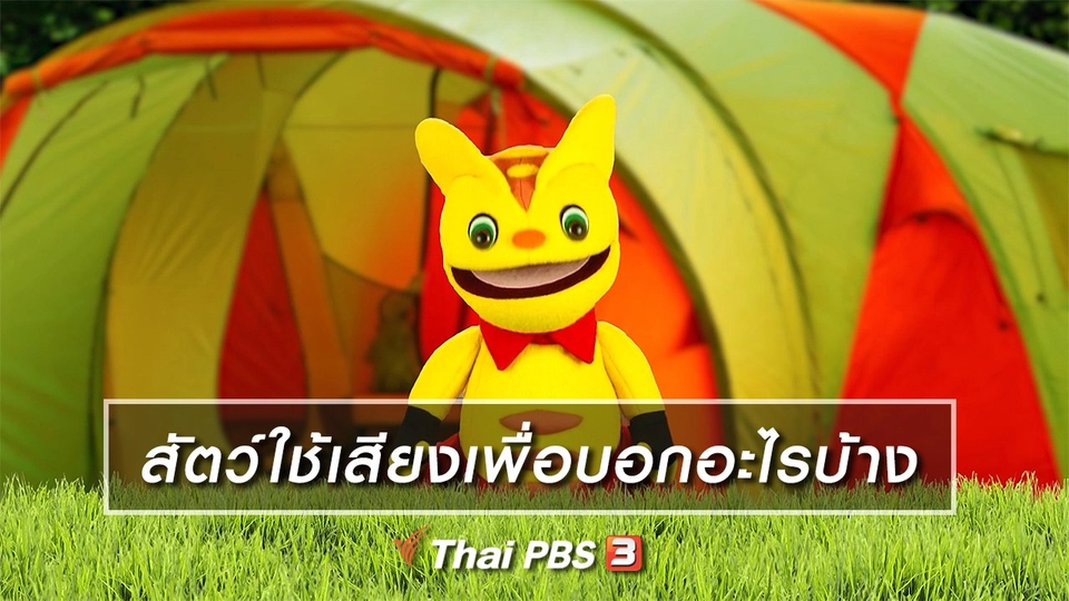 เกร็ดน่ารู้กับตาต้าตีตี้โตโต้ : สัตว์ใช้เสียงเพื่อบอกอะไรบ้าง