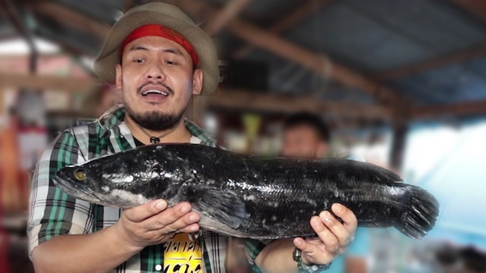 ปลาสดๆ ตัวใหญ่ ๆ ที่เขื่อนศรีนครินทร์