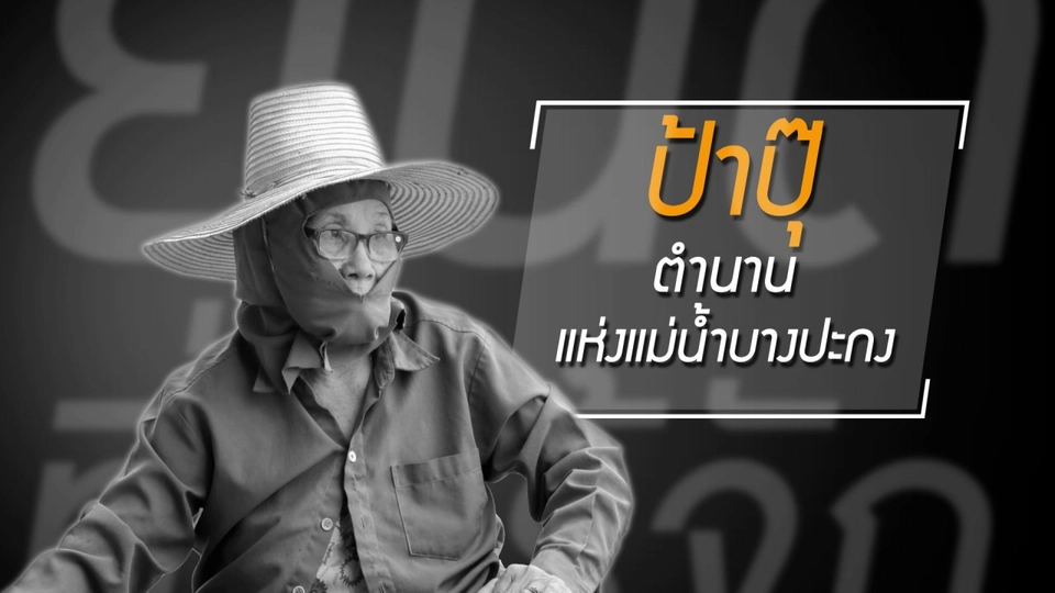 ตามเปอร์ไปตัดใบจาก