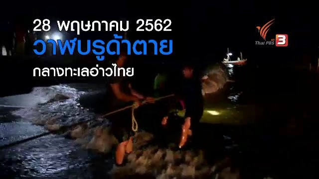 “เจ้าปิ่น” วาฬบรูด้าในความทรงจำ