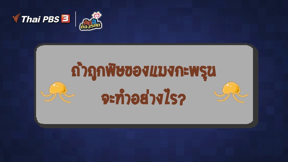 ​ถ้าเราถูกพิษแมงกะพรุน จะทำอย่างไร
