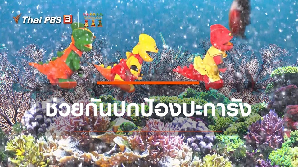 เกร็ดน่ารู้กับตาต้าตีตี้โตโต้ : เราต้องช่วยกันปกป้องปะการัง