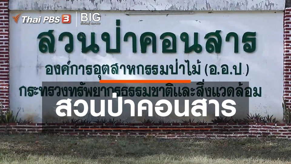 ​Clip Story : สวนป่าคอนสาร