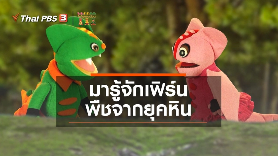 ​เกร็ดน่ารู้กับตาต้าตีตี้โตโต้ : มารู้จักเฟิร์นพืชจากยุคหิน