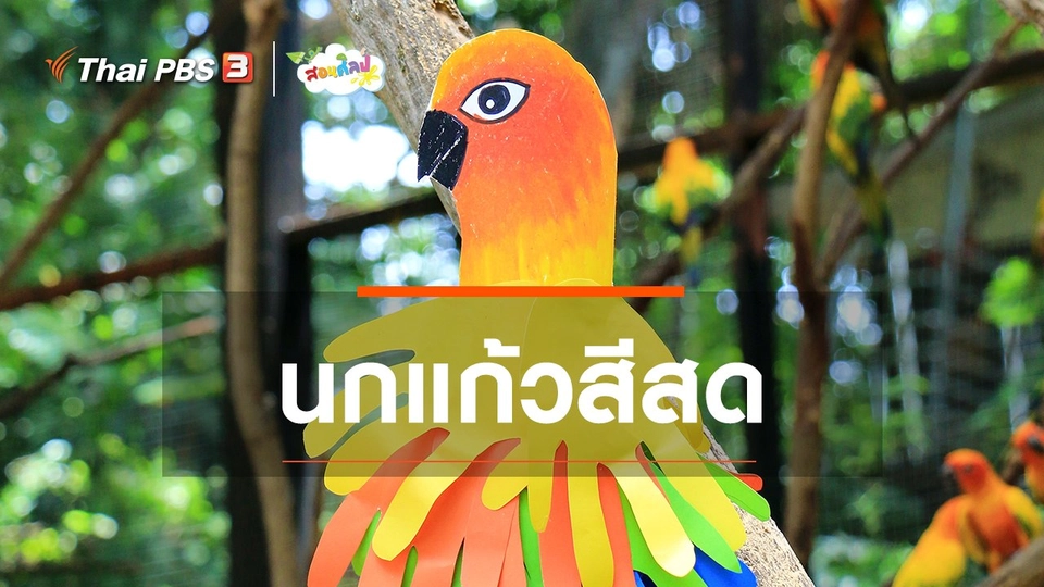 ไอเดียสอนศิลป์ : นกแก้วสีสด