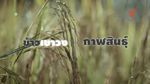 ​ข้าวเขาวง