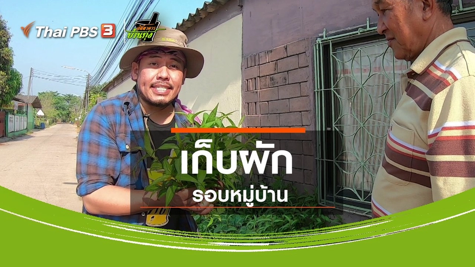 คลิปบ้านทุ่ง : เก็บผักรอบหมู่บ้าน