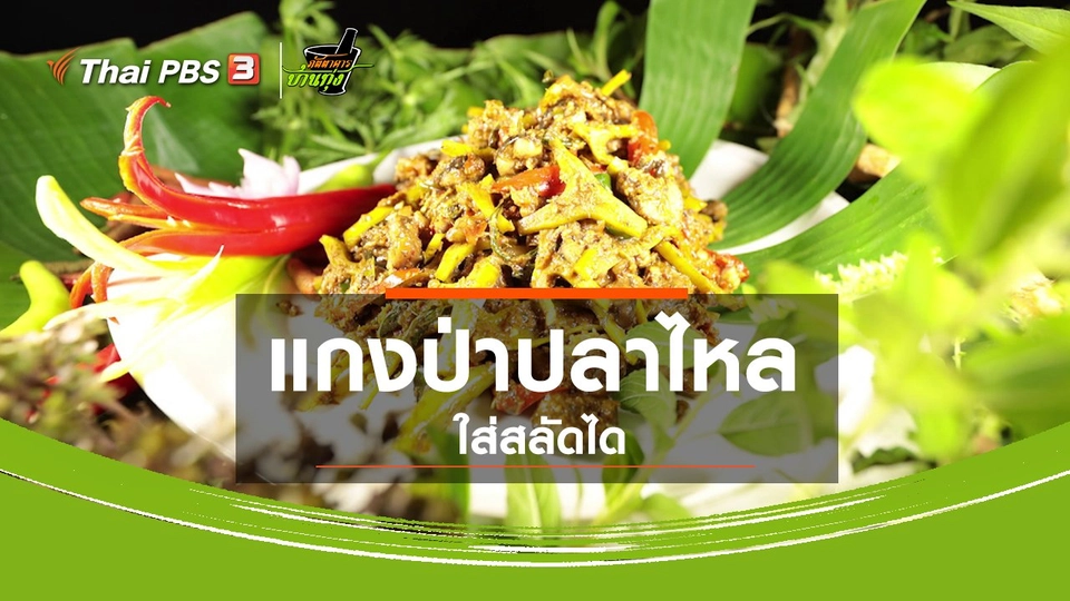 ​สูตรอาหารพื้นบ้าน : แกงป่าปลาไหลใส่สลัดได