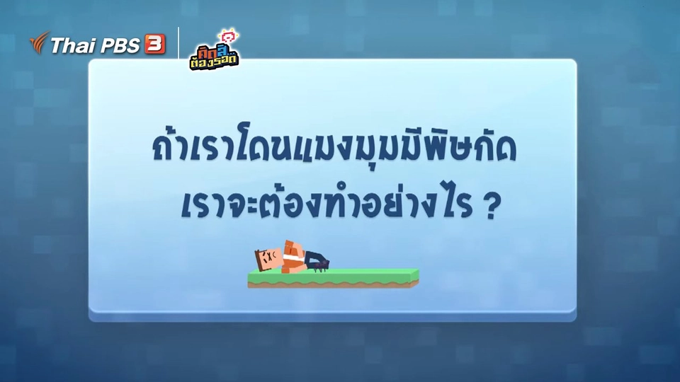 ถ้าโดนแมงมุมมีพิษกัด เราจะต้องทำอย่างไร ?