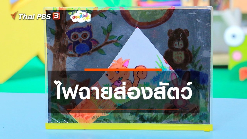 ​ไอเดียสอนศิลป์ : ไฟฉายส่องสัตว์