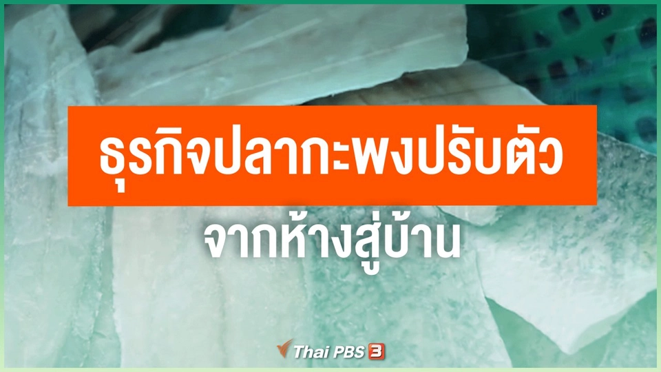 ​ไทยสู้ ไทยรอด : ธุรกิจปลากะพงปรับตัวจากห้างสู่บ้าน