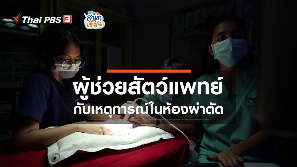 วิชาประสบการณ์ชีวิต : ผู้ช่วยสัตว์แพทย์กับเหตุการณ์ในห้องผ่าตัด