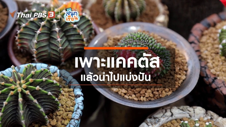 ​วิชาประสบการณ์ชีวิต : เพาะแคคตัสแล้วนำไปแบ่งปัน