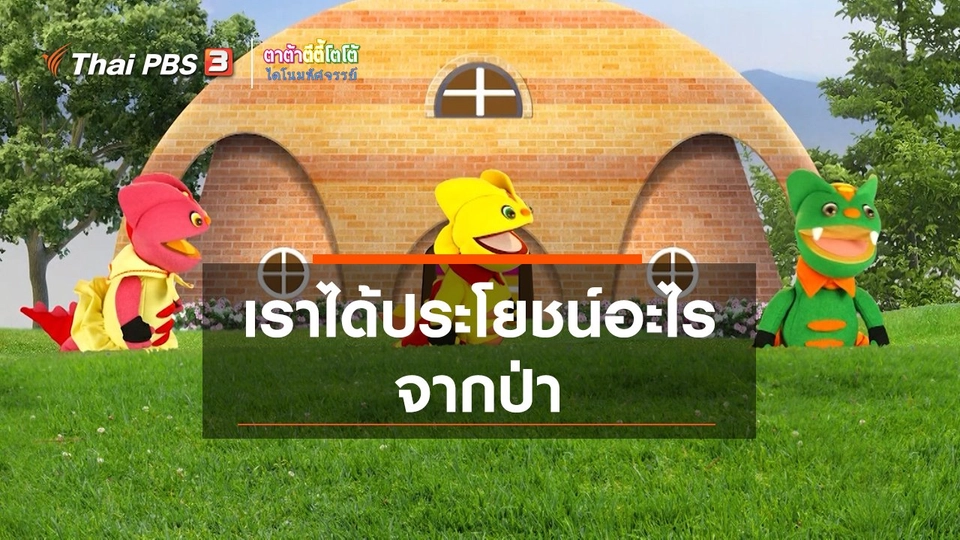 เกร็ดน่ารู้กับตาต้าตีตี้โตโต้ : เราได้ประโยชน์อะไรจากป่า