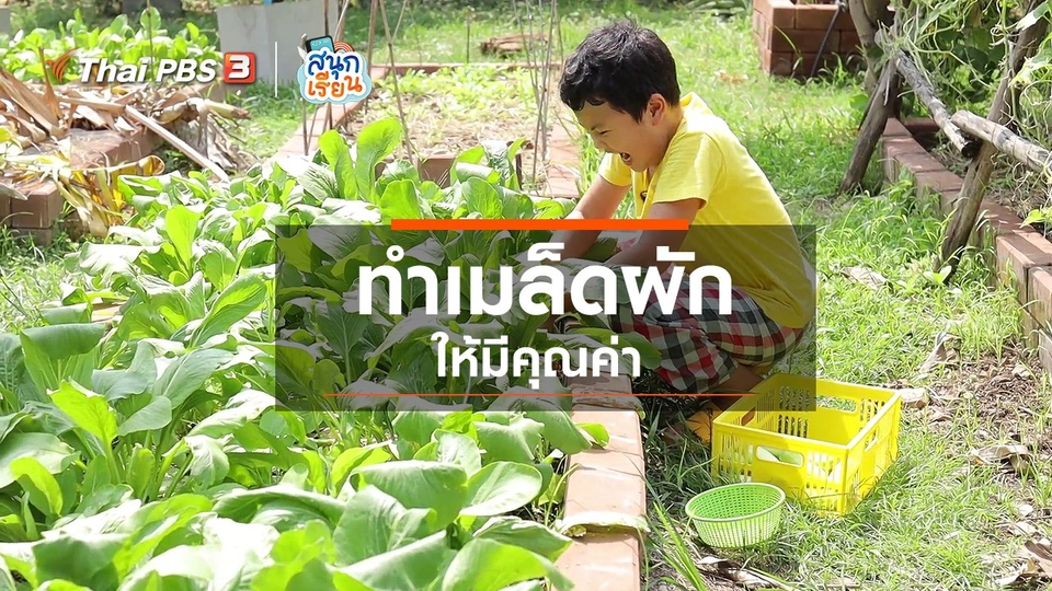 ​วิชาประสบการณ์ชีวิต : ทำเมล็ดผักให้มีคุณค่า