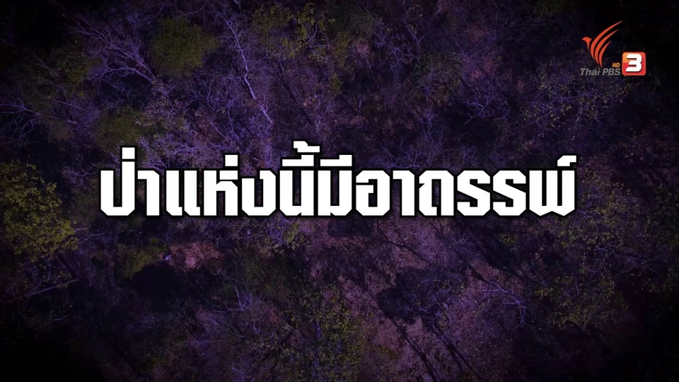 ปิดตำนาน ป่าอาถรรพ์