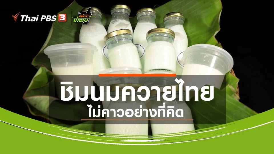 ​คลิปบ้านทุ่ง : ชิมนมควายไทย ไม่คาวอย่างที่คิด