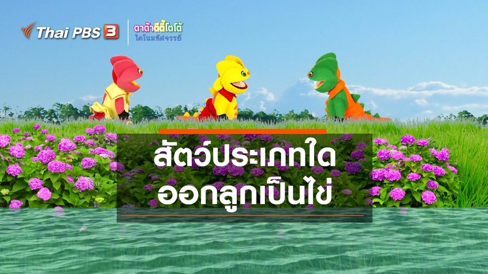 เกร็ดน่ารู้กับตาต้าตีตี้โตโต้ : สัตว์ประเภทใดออกลูกเป็นไข่