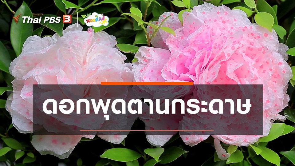 ไอเดียสอนศิลป์ : ดอกพุดตานกระดาษ