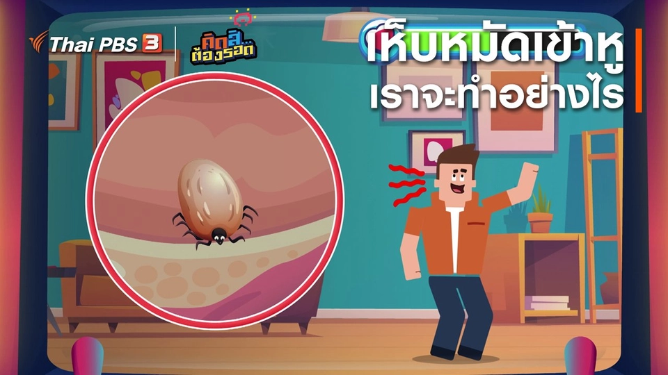 เห็บหมัดเข้าหูเราจะทำอย่างไร