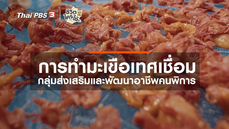 ​เรียนรู้โลกของคนพิการ : การทำมะเขือเทศเชื่อม กลุ่มส่งเสริมและพัฒนาอาชีพคนพิการ