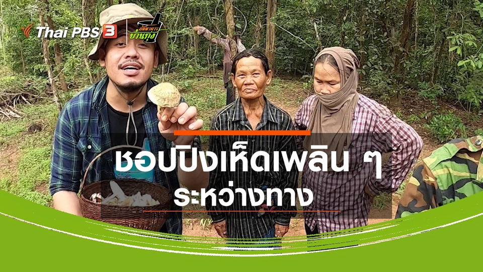 คลิปบ้านทุ่ง : ชอปปิงเห็ดเพลิน ๆ ระหว่างทาง