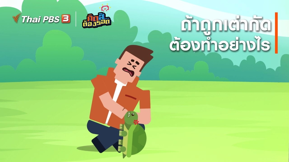 ​ถ้าถูกเต่ากัดต้องทำอย่างไร