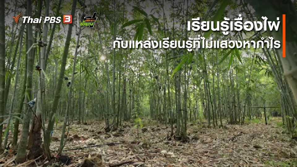 คลิปบ้านทุ่ง : เรียนรู้เรื่องไผ่กับแหล่งเรียนรู้ที่ไม่แสวงหากำไร