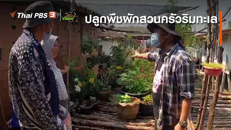 คลิปบ้านทุ่ง : ปลูกพืชผักสวนครัวริมทะเล สด สะอาด ปลอดสารเคมี