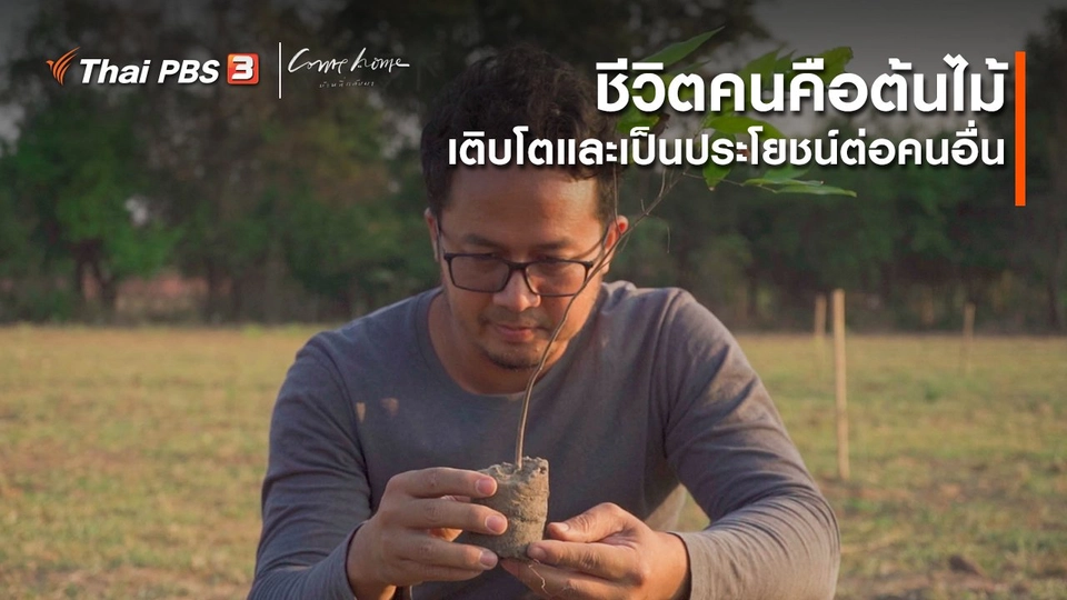 เรื่องเล่าคนกลับบ้าน : ชีวิตคนคือต้นไม้ เติบโตและเป็นประโยชน์ต่อคนอื่น