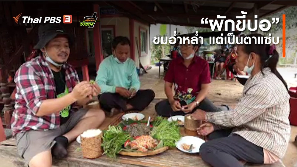 ​คลิปบ้านทุ่ง : “ผักขี้บ่อ” ขมอ่ำหล่ำ แต่เป็นตาแซ่บ